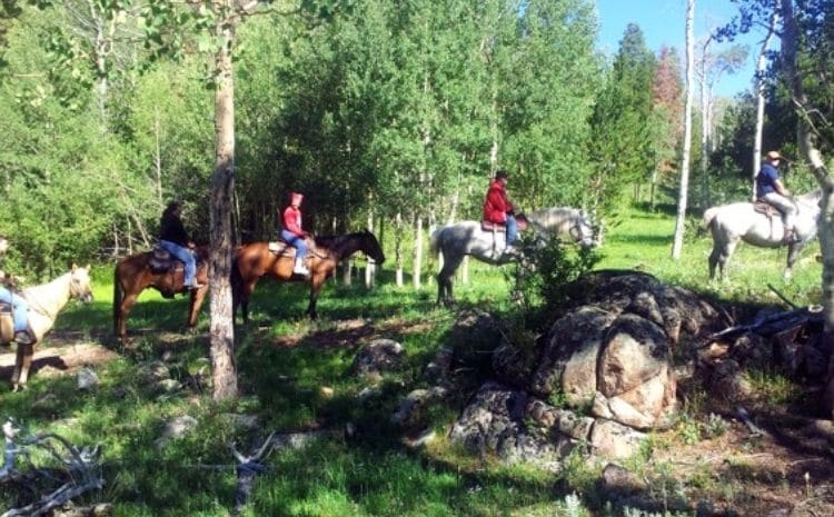 Beaver Meadows Stables 1